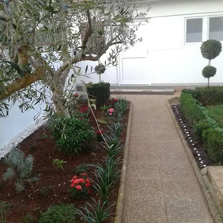 Mit- Mir Apartment *