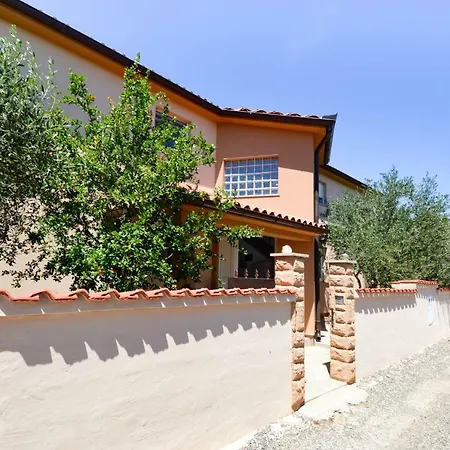 Apartment Mit- Mir