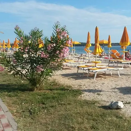 Lägenhet Mit- Mir *