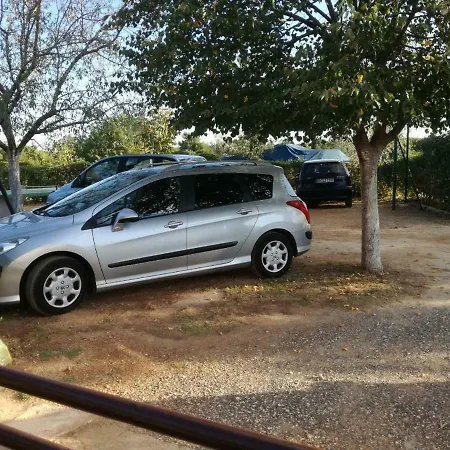 Mit- Mir Lägenhet *