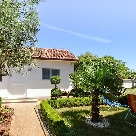 Mit- Mir Apartment Fondole